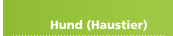 Hund (Haustier)
